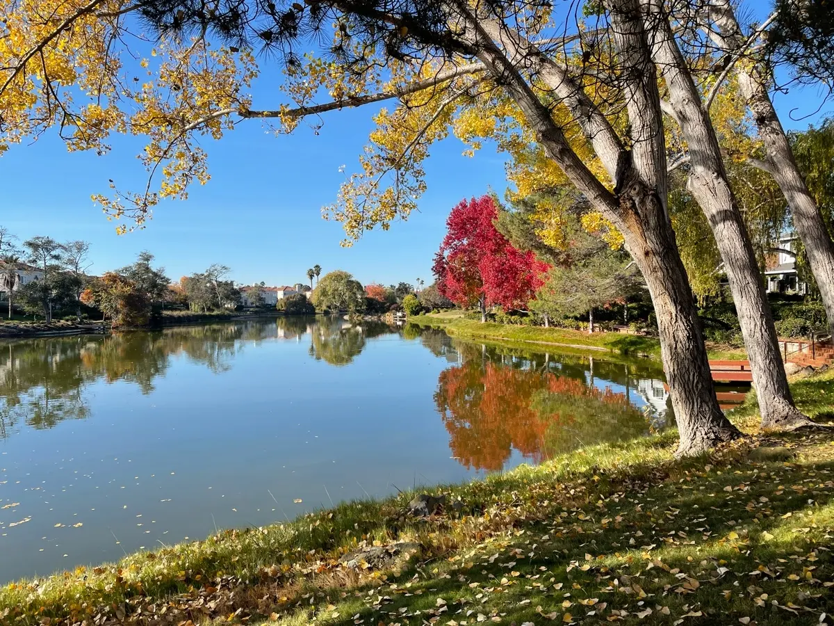 Harbor Bay Lagoons
